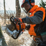 STIHL MS 661 CM W 63 cm