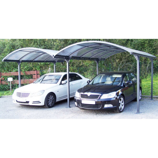 Habrita Carport 2 Auto's Aluminium Polycarbonaat